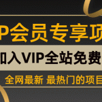 【陈舟公众号变现营第二期】0成本日涨粉1000+让你月赚10W+（价值1099）（更新）