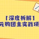 深度拆解0元购团主实战教学，每天稳定有收益，适合自用和带人做