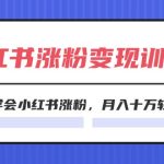 2024小红书19天涨粉变现特训营，快速学会小红书涨粉，月入十万轻松变现（42节）