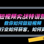 短视频实战特训营：教你如何做短视频，各行业如何获客，如何变现 (60节)