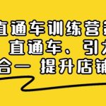 搜索直通车训练营第2期：搜索、直通车、引力魔方三维合一提升店铺业绩