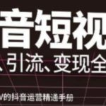 抖音视频号高级实操与理论课程：吸粉、引流、变现全攻略，从小号到大V的抖音运营精通手册