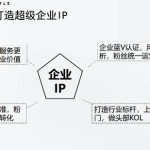 媒老头学院短视频带货合集进阶篇详细分类、各种赛道（外边卖3980元）