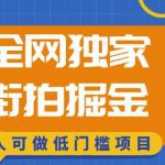 全网独家一街拍掘金，低门槛人人可做的赚钱项目【揭秘】