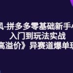 逸风-拼多多零基础新手小白入门到玩法实战《高溢价》异赛道爆单玩法实操课