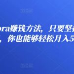 众达传媒慕哥兴趣电商起号实操素材共享爆单营（22节主课＋电商资料素材包）