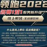 牛气学堂老陶电商【第9期】，拼多多名师线上领跑28天，线上孵化-实战爆款班