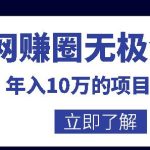 网赚圈无极领域年入10万的自学项目合集，暴利的CPS项目+暴利的自媒体+闲鱼搬运赚钱法等