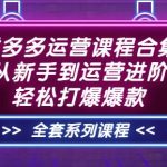 拼多多运营课程合集：从新手到运营进阶，轻松打爆爆款（全套系统课程）