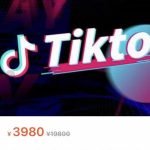 TikTok海外抖音短视频线上陪跑训练营，玩赚Tiktok少走弯路