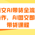 图文AI带货全流程操作，AI图文即创带货课程（9节）