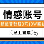 最新情感文案类短视频账户，实操三天10万粉丝