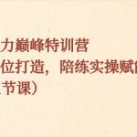 表现力巅峰特训营，全方位打造，陪练实操赋能（21节课）