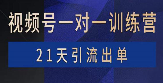 视频号训练营：带货，涨粉，直播，游戏，四大变现新方向，21天引流出单