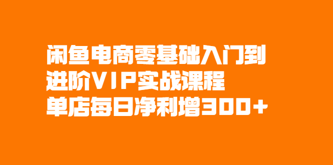 闲鱼电商零基础入门到进阶VIP实战课程，单店每日净利增300+