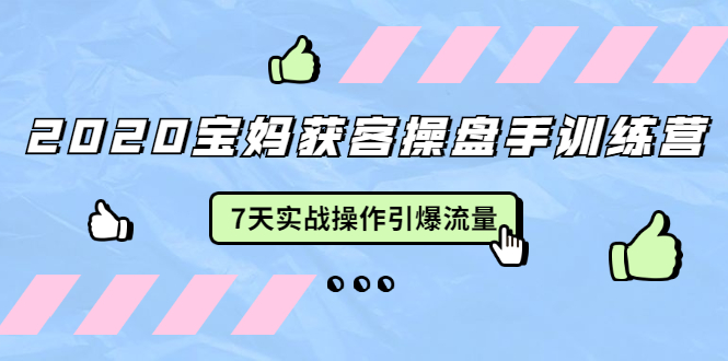 2020宝妈获客操盘手训练营：7天实战操作引爆 母婴、都市、购物宝妈流量