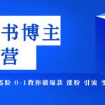 小红书博主爆款特训营-11期 无需技能 不露脸 0-1教你做爆款 涨粉 引流 变