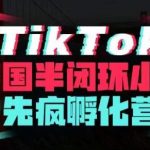 疯人院·TikTok美国半闭环小店孵化营，抢占TikTok美国蓝海市场，开店、运营、带货、投流全实操