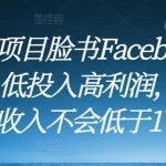 跨境电商项目脸书Facebook商城无货源，低投入高利润，熟练操作后月收入不会低于1W-3W