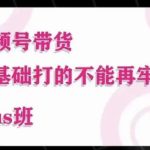 大播汇·视频号带货Puls班，视频号底层逻辑，起号自然流鱼塘等玩法