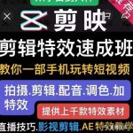 特效罗剪辑特效速成班：一部手机玩转短视频提供上千款特效素材【无水印】