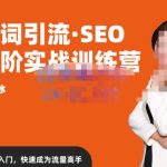 许茹冰·万词引流-SEO全阶实战训练营，0基础入门，快速成为流量高手