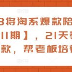 108将淘系爆款陪跑营【第11期】，21天教运营打爆款，帮老板培养运营