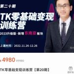 嘉伟·TK零基础变现训练营【第20期】2023升级版·新增东南亚板块，系统传授TK玩法，从小白到高手