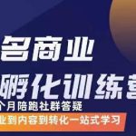 王扬名·商业IP孵化训练营，从商业到内容到转化一站式学习