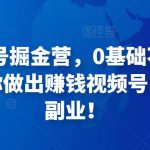 36天视频号掘金营，0基础不用担心，手把手教你做出赚钱视频号，开启高薪副业！