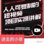 进击的小徐·人人可复制的短视频5个项目，实操讲解年销售额八位数级别项目