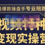 兔妈·短视频特种兵变现实操营，从底层逻辑到实操细节，给你讲透短视频变现-价值2499元