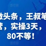 被忽视的微头条，王叔笔记21天微头条训练营，实操3天，日收益60-80不等！