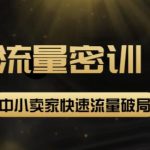 2022秋秋线上流量密训16.0：包含暴力引流10W+中小卖家流量破局技巧等等