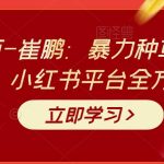 老高电商-崔鹏：暴力种草收割机小红书，小红书平台全方位解析