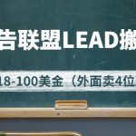 外面卖4位数的国外广告联盟LEAD搬砖教程，日入18-100美金（教程+软件）