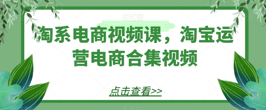 淘系电商视频课，淘宝运营电商合集视频