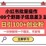 小红书批量操作《1000个野路子信息差》玩法，一分钟制作一个图文，不封号，日引100+创业粉