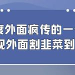 外面收费980的百度极速版最新玩法，多窗口拉满一小时利润在30-50+【软件+教程】