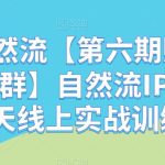 瑶瑶自然流【第六期赠1年孵化手社群】自然流IP孵化手「14天线上实战训练营」