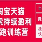 2023未见【無山】淘宝天猫搜索持续盈利陪跑训练营，独家玩法，快速盈利