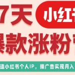 17天小红书爆款涨粉营（广告变现方向），教你打造小红书博主IP、接广告变现的