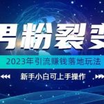 (价值1980)2023年最新男粉裂变引流赚钱落地玩法，新手小白可上手操作【揭秘】