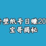 宝哥抖音壁纸号日赚2000+，不需要真人露脸就能操作【揭秘】