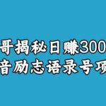 宝哥揭秘日赚3000+抖音励志语录号短视频变现项目