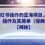 适合在小红书操作的蓝海项目，单人日收入过千，操作及其简单（保姆级玩法）【揭秘】