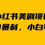 外面卖1980的小红书美剧项目，单日收益1000＋，小众暴利的赛道【揭秘】