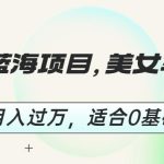 短视频蓝海项目，美女车载U盘，轻松月入过万，适合0基础小白【揭秘】