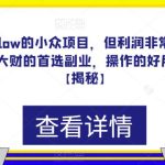 一个很low的小众项目，但利润非常巨大，闷声发大财的首选副业，操作的好月入过万【揭秘】