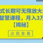 颠覆式长期可无限放大卖职场智慧课程，月入3万+【揭秘】